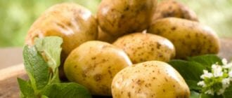 Картофель при повышенной кислотности в желудке